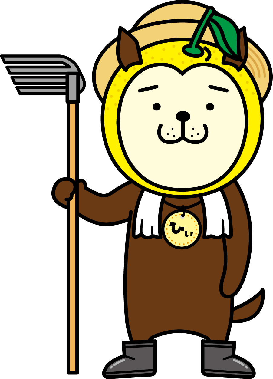 サンプル画像