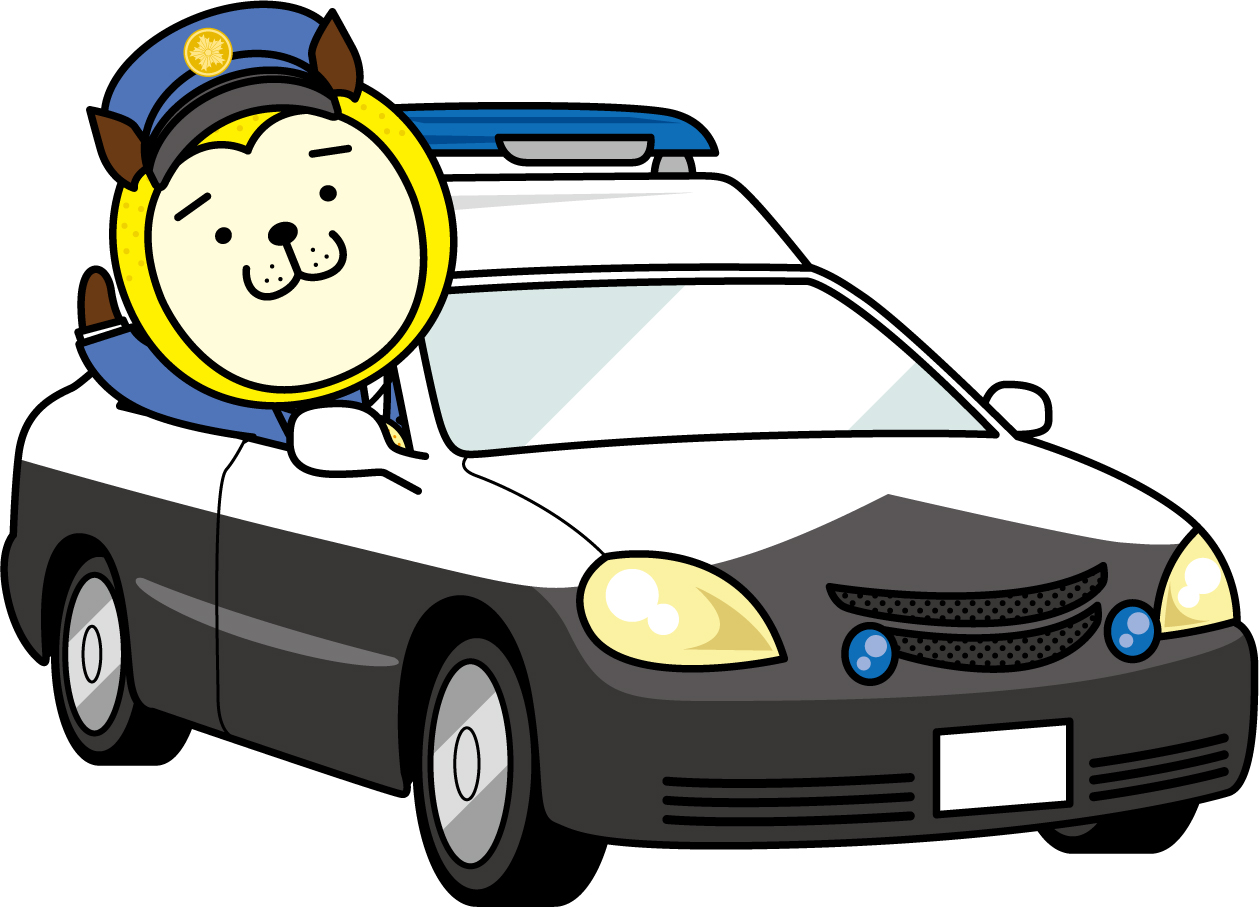 サンプル画像