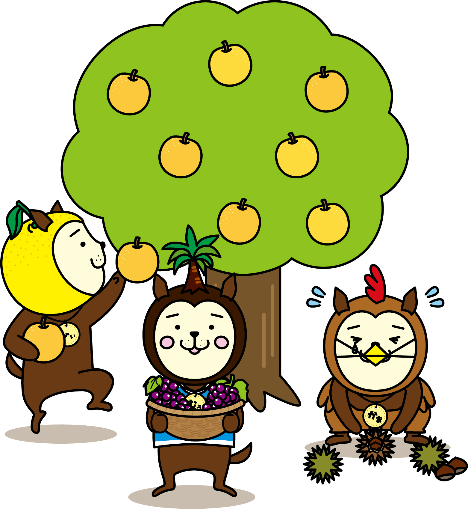 サンプル画像